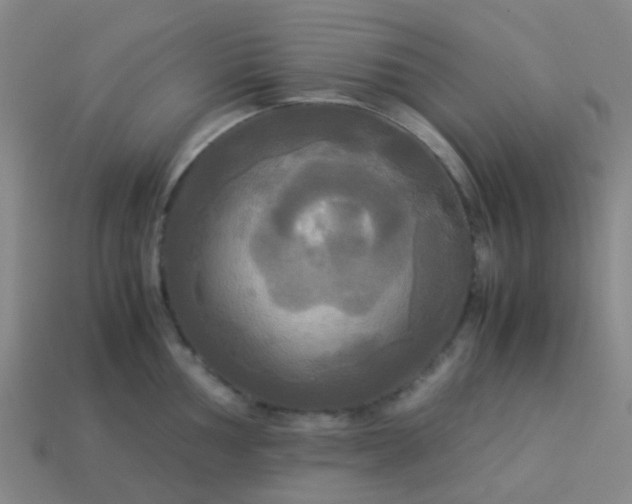 X0000114111002200910191658