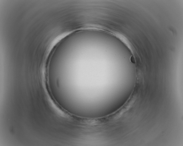 X0000114111003200910191658