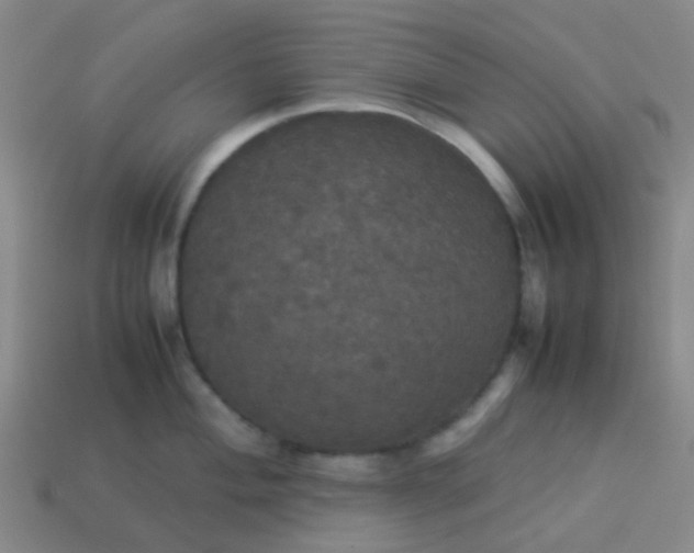 X0000114111004200910191658