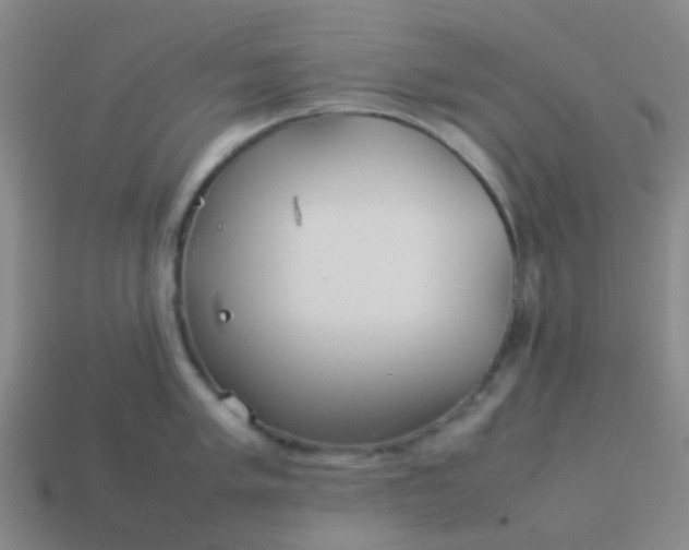 X0000114111005200910191658