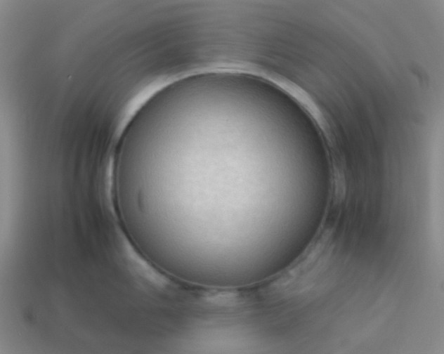 X0000114111006200910191658