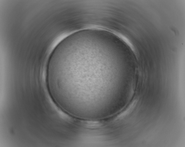 X0000114111007200910191658