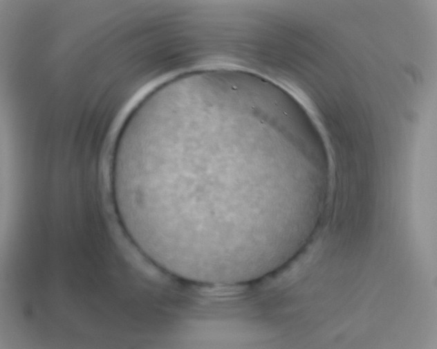 X0000114111008200910191658