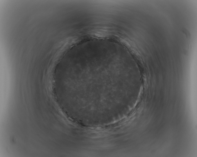 X0000114111009200910191658