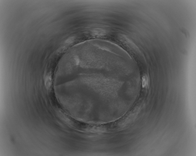 X0000114111011200910191658