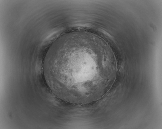 X0000114111014200910191658