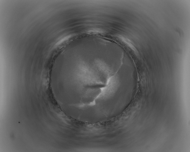 X0000114111015200910191658