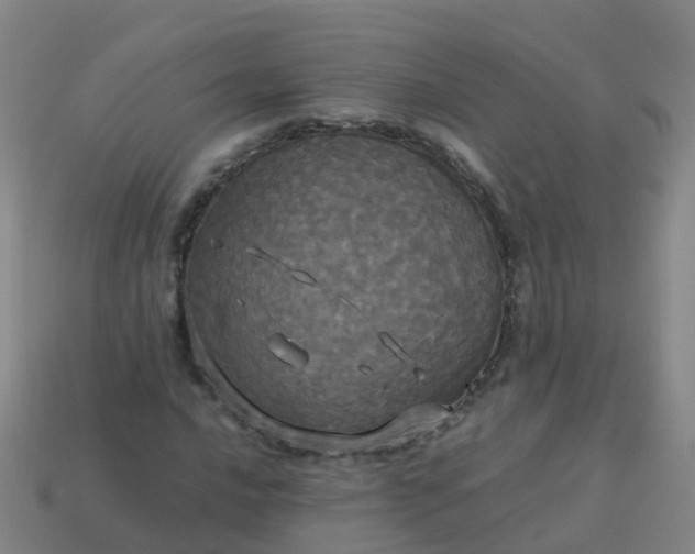 X0000114111016200910191658