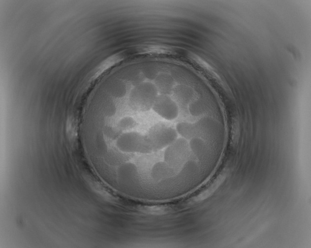 X0000114111017200910191658