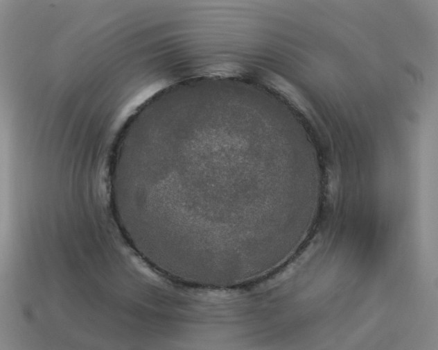 X0000114111018200910191658