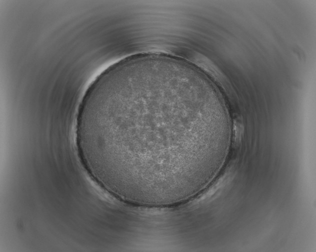 X0000114111020200910191658