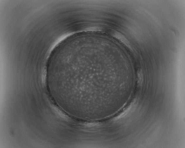 X0000114111021200910191658