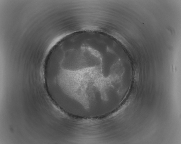 X0000114111022200910191658