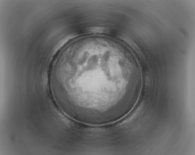 X0000114111023200910191658