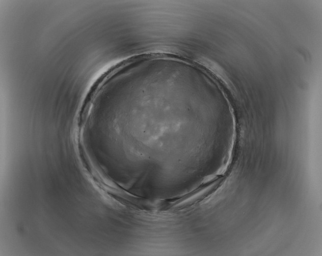 X0000114111024200910191658