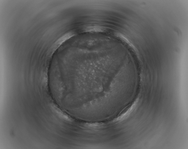 X0000114111025200910191658