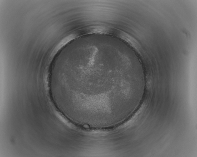 X0000114111026200910191658