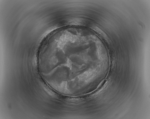 X0000114111027200910191658