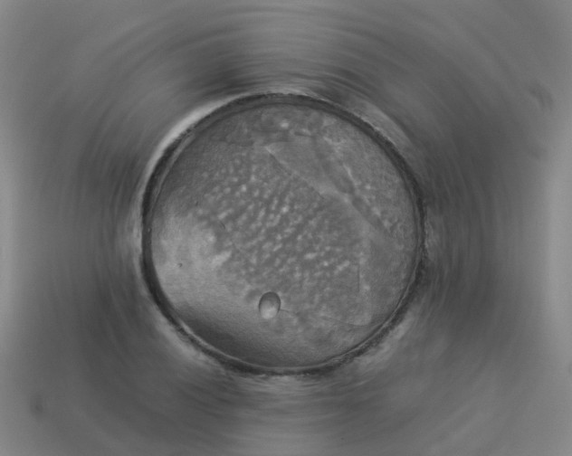 X0000114111028200910191658