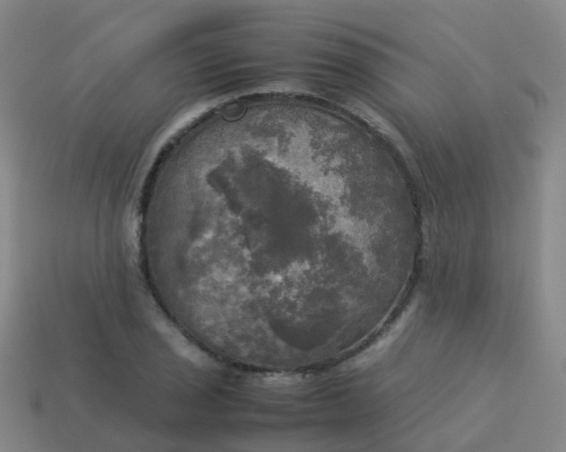 X0000114111029200910191658