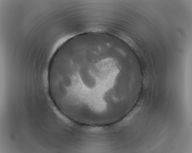 X0000114111030200910191658