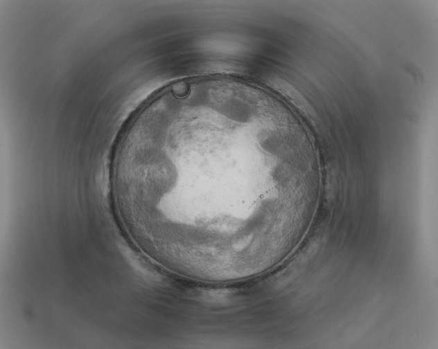 X0000114111031200910191658