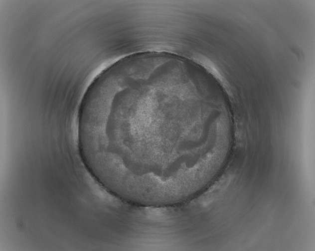 X0000114111032200910191658