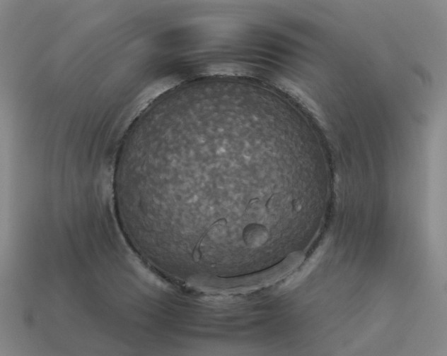 X0000114111033200910191658