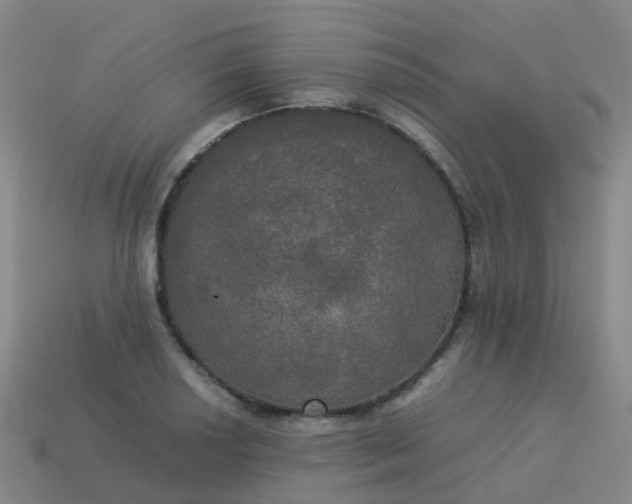 X0000114111034200910191658