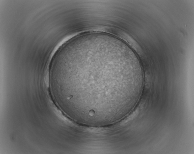 X0000114111036200910191658