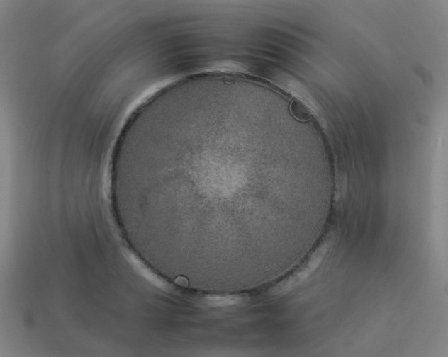 X0000114111037200910191658