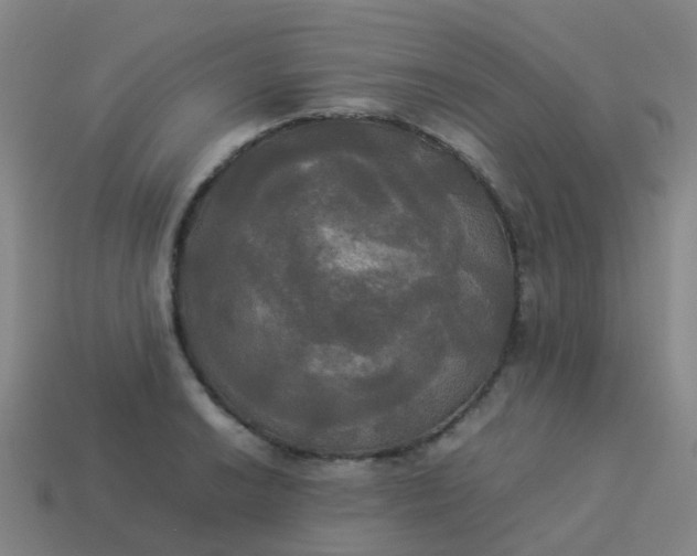 X0000114111038200910191658