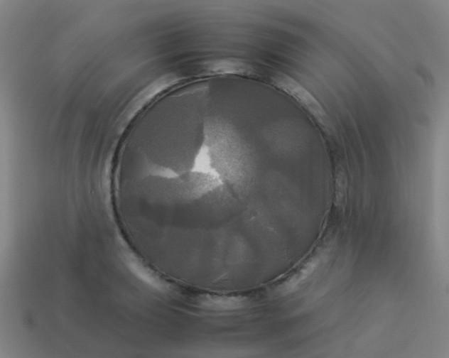 X0000114111039200910191658