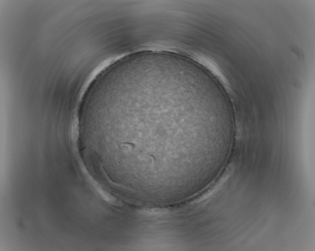 X0000114111040200910191658