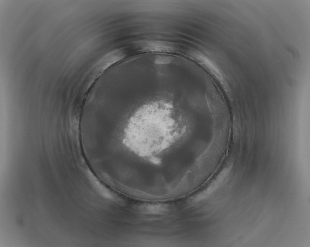 X0000114111041200910191658