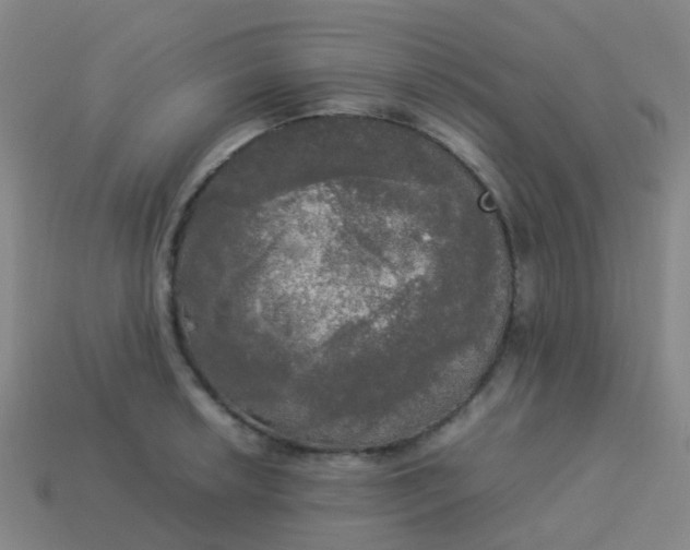 X0000114111042200910191658