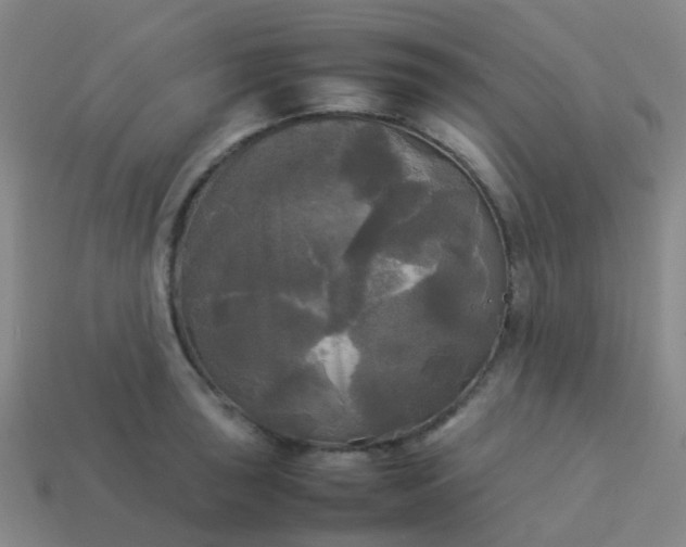 X0000114111043200910191658