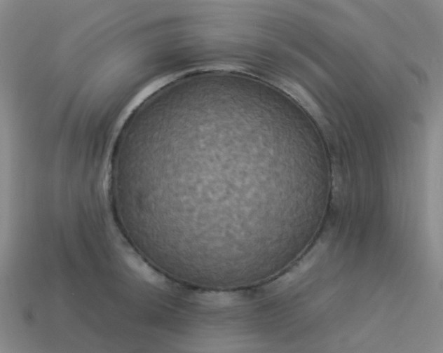 X0000114111044200910191658