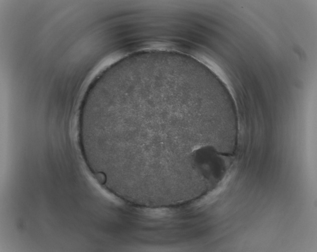 X0000114111045200910191658