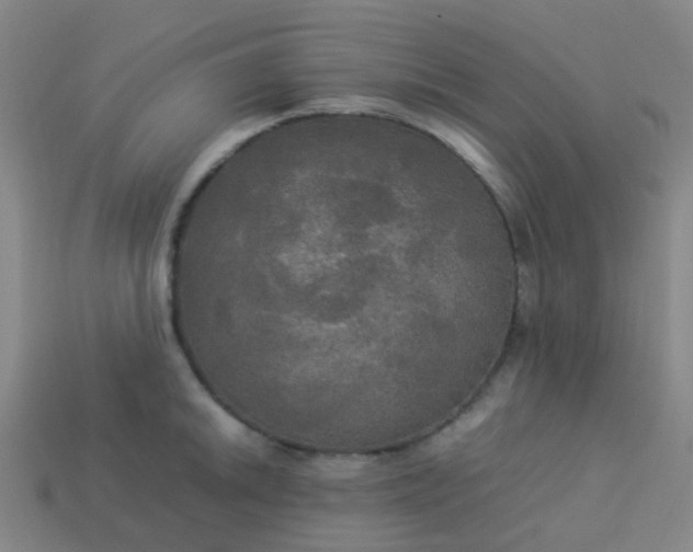 X0000114111046200910191658