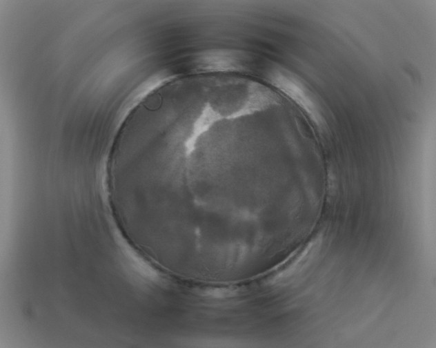 X0000114111047200910191658