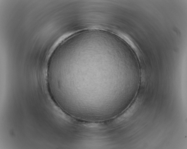 X0000114111048200910191658