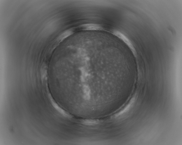 X0000114111049200910191658