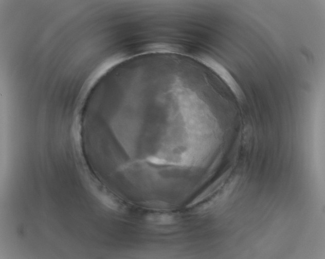 X0000114111051200910191658