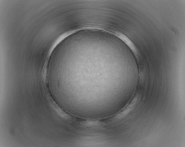 X0000114111052200910191658