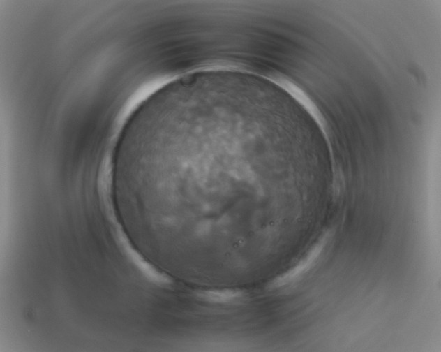 X0000114111053200910191658