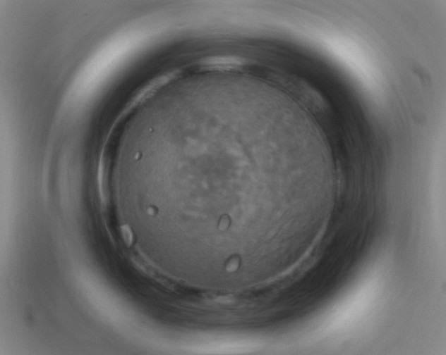 X0000114111054200910191658