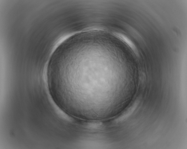 X0000114111055200910191658