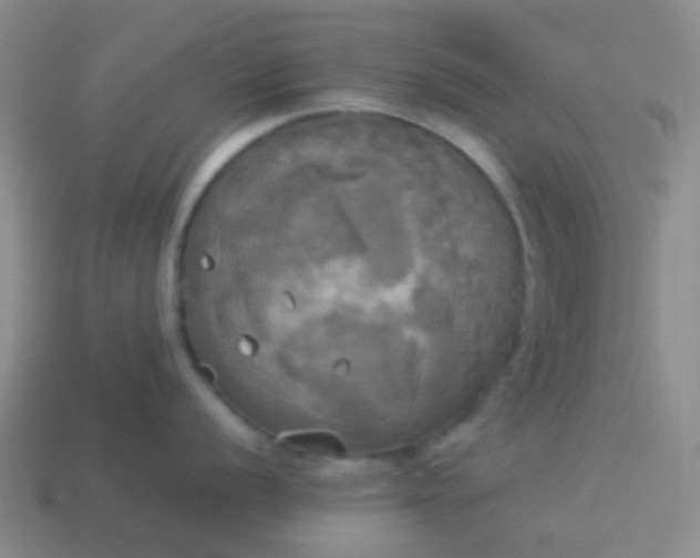 X0000114111056200910191658