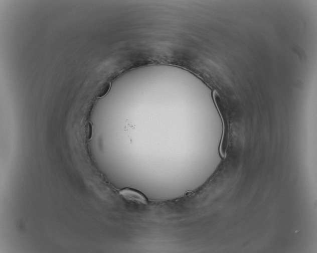 X0000114111057200910191658